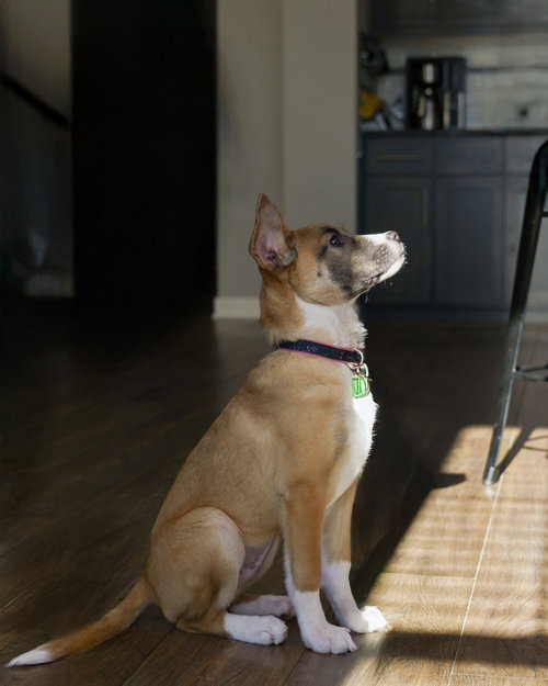 Fumie photo 6