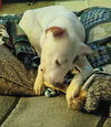 Carol - Photo 5