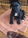 Tootsie Roll - Photo 11