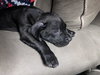 Tootsie Roll - Photo 12