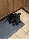 Tootsie Roll - Photo 14
