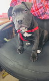 Tootsie Roll - Photo 2
