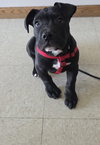 Tootsie Roll - Photo 3