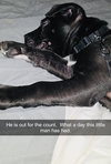 Tootsie Roll - Photo 6