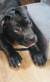 Tootsie Roll - Photo 8