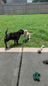 Maybelle - Photo 18