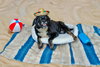 Maybelle - Photo 16