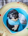 Maybelle - Photo 15