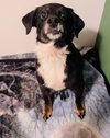 Maybelle - Photo 9