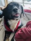 Maybelle - Photo 11