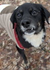 Maybelle - Photo 12