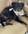 Maybelle - Photo 5