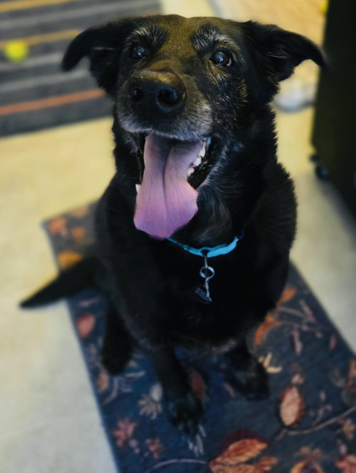 Cardi, photo 14