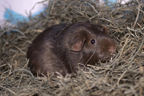 Photo 2 of Ella