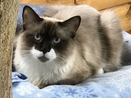 Dakota Image