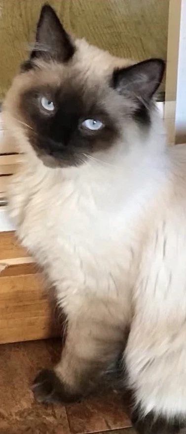 Jordan