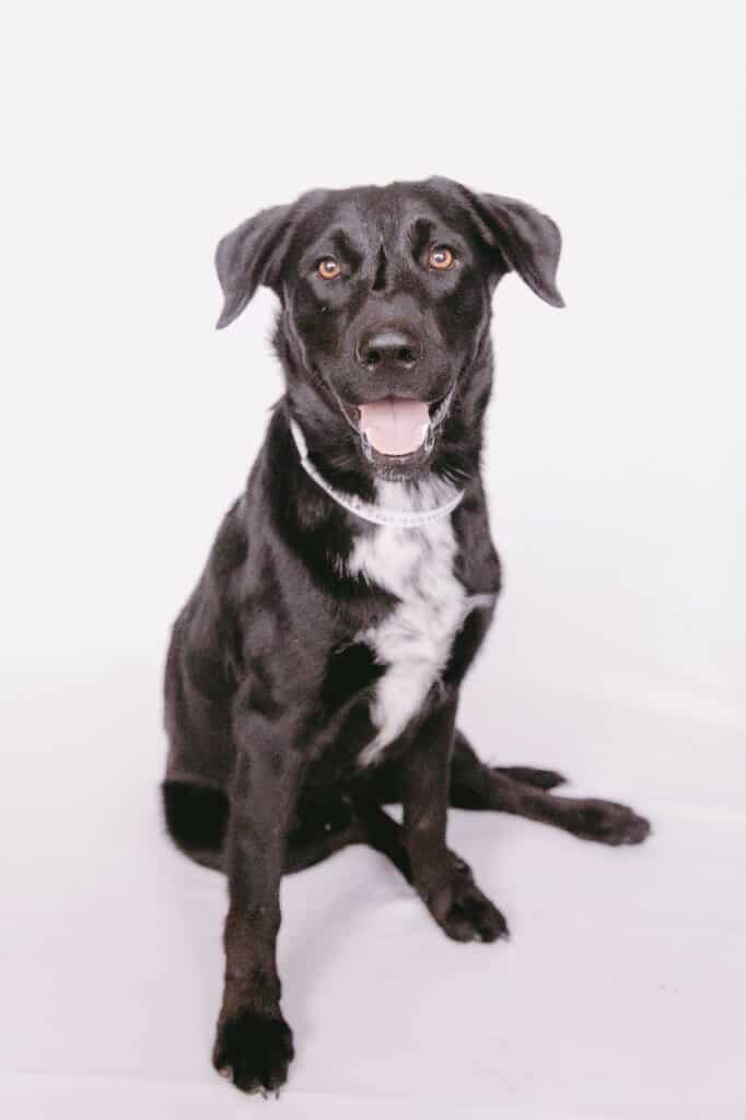 Cooper Image