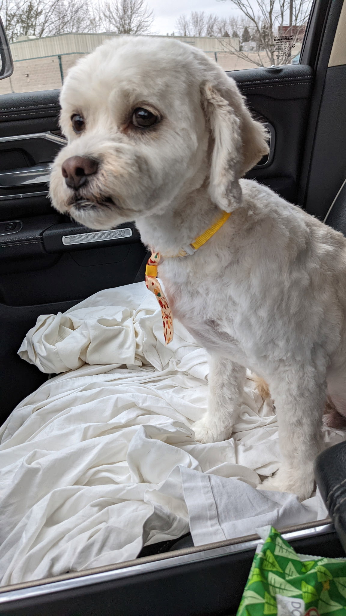 Riley Image