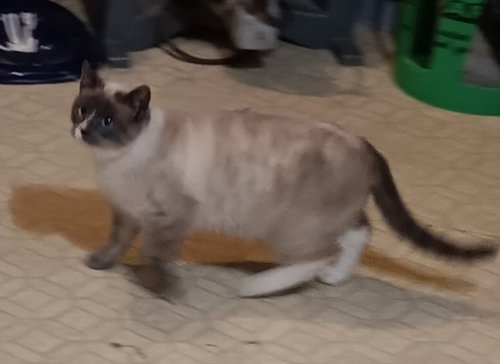Photo 2 of Mavis