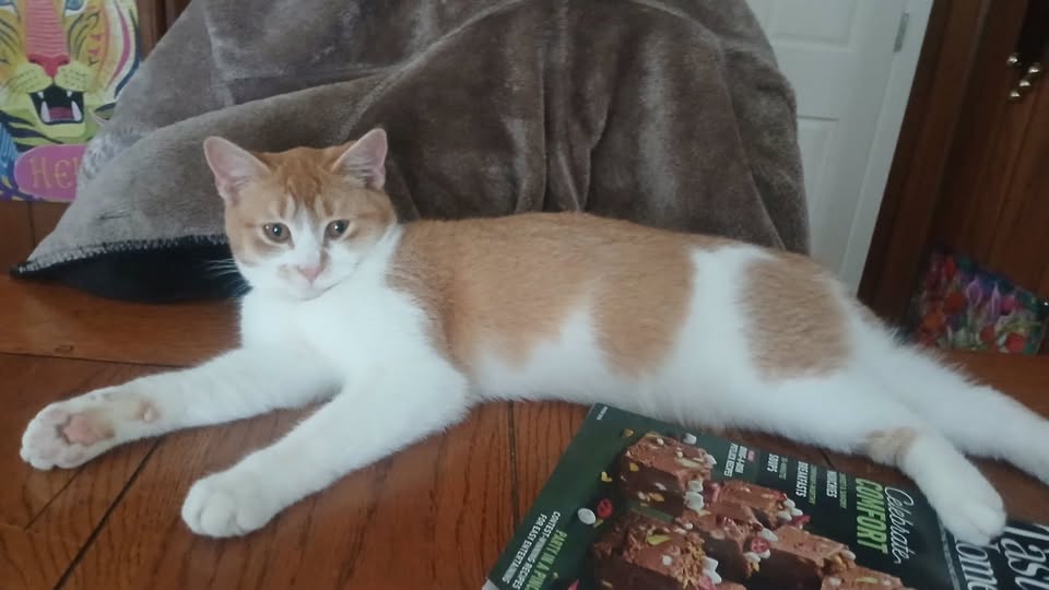 Benny Image