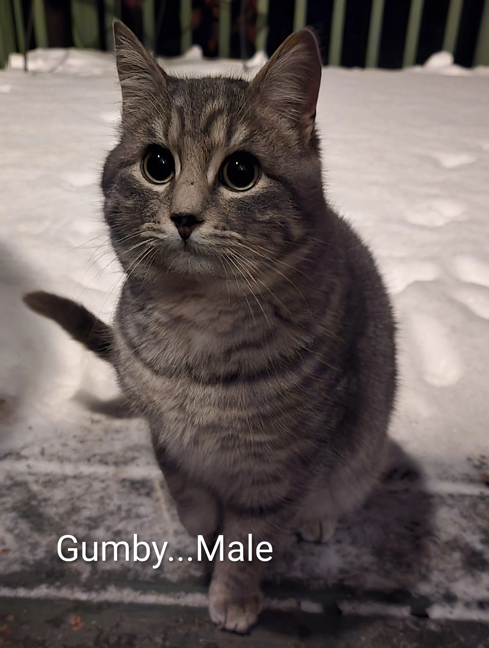 Gumby
