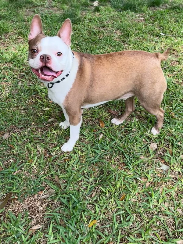 TJ