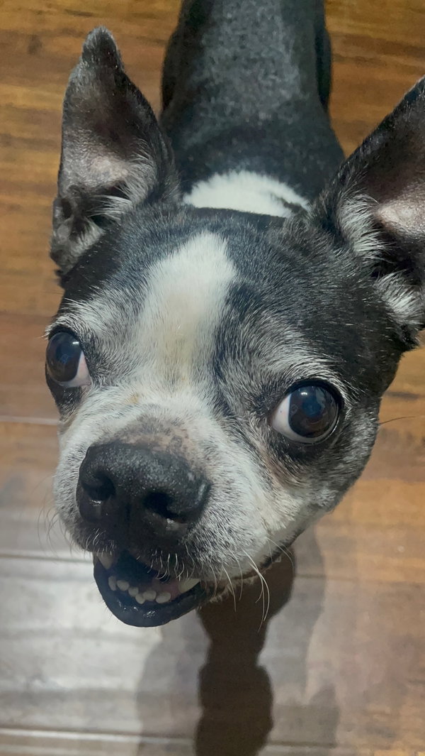 Mia