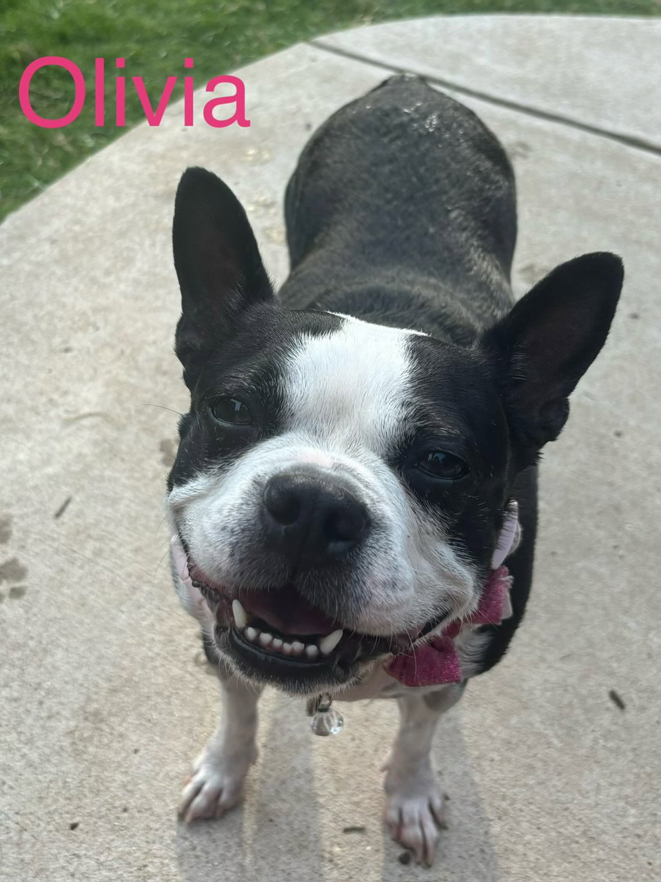 Olivia Image