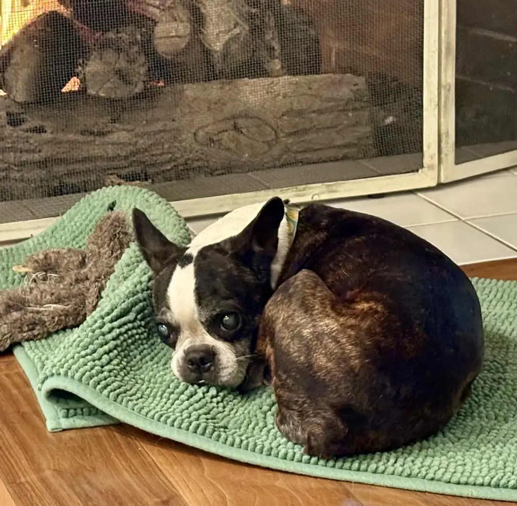 Lulu image 4