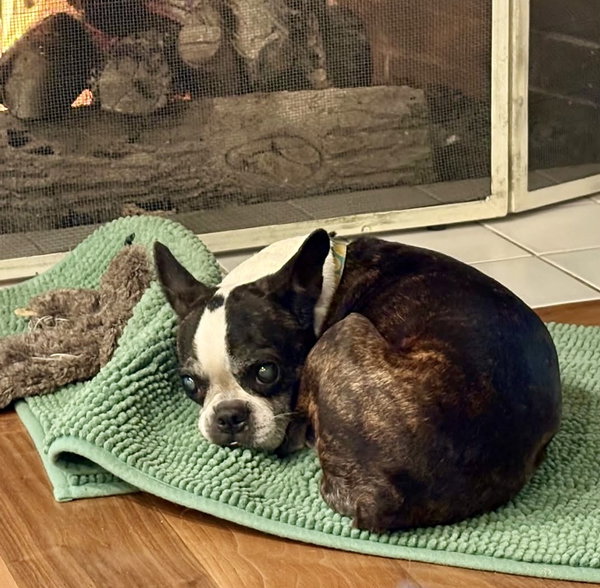 Lulu