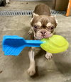 Rio - SPECIAL NEEDS - Photo 2