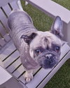 Hank - Photo 8