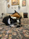 Gatsby - Photo 2