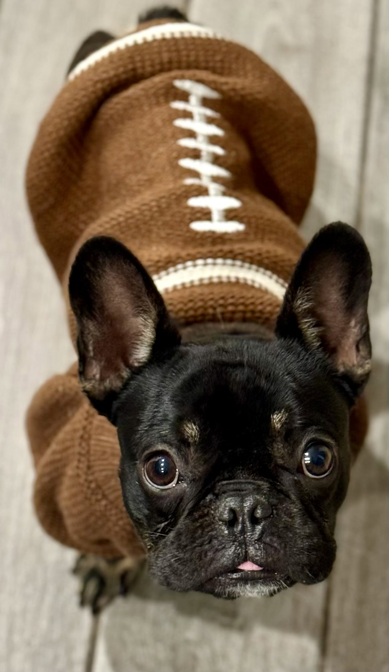 Winston