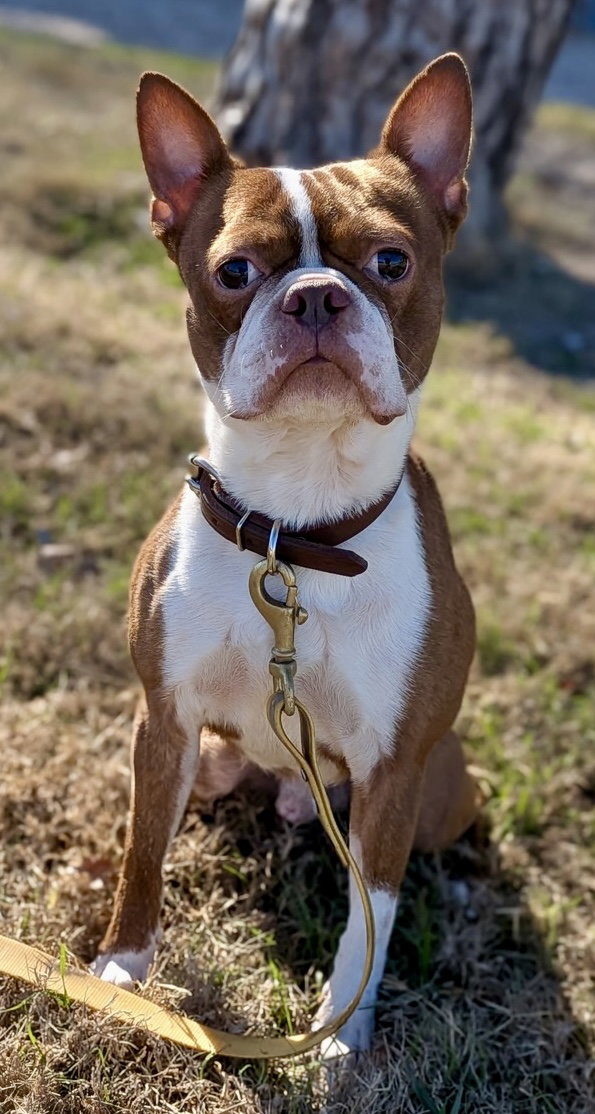 Milo