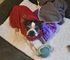 Bobby McGee - Photo 4