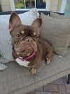 Nova - Photo 5