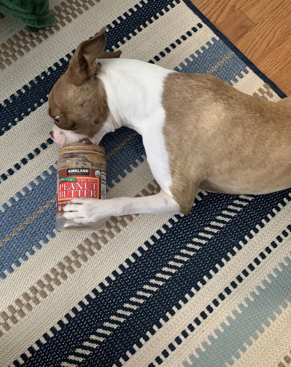 Gus