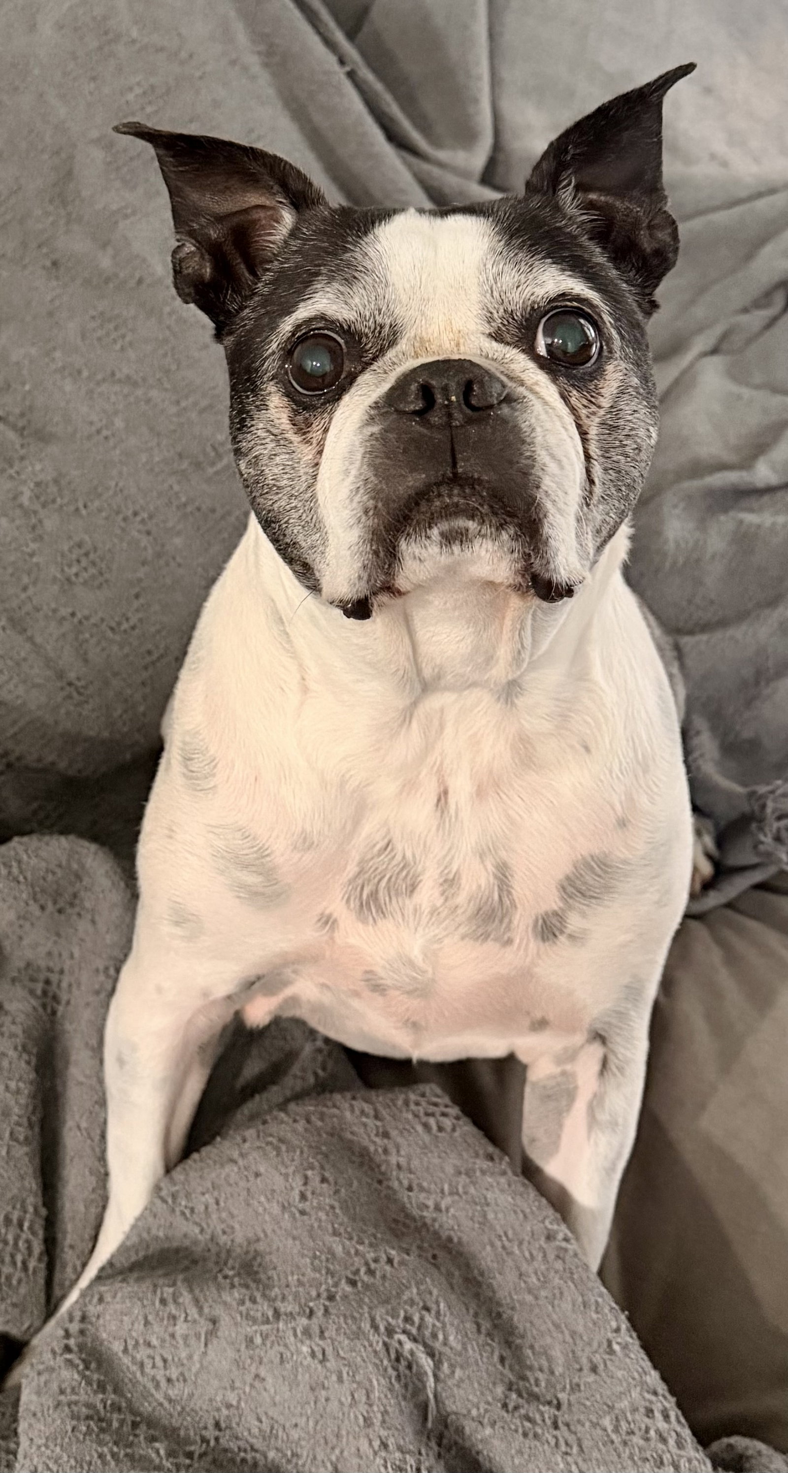 Petey