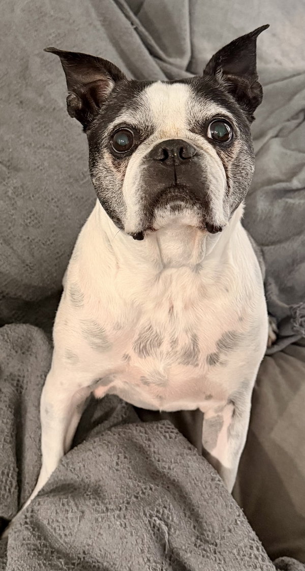 Petey