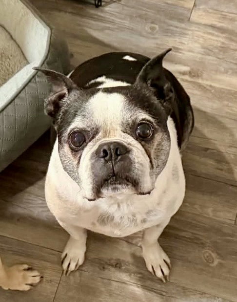 Petey