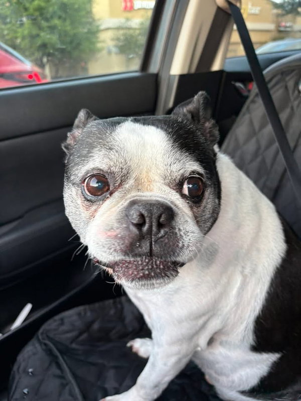 Petey