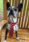 Buccee - Photo 1