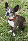 Buccee - Photo 2