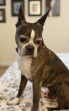 Buccee - Photo 3