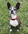 Buccee - Photo 4