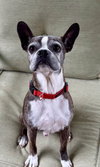 Buccee - Photo 5