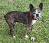 Buccee - Photo 6