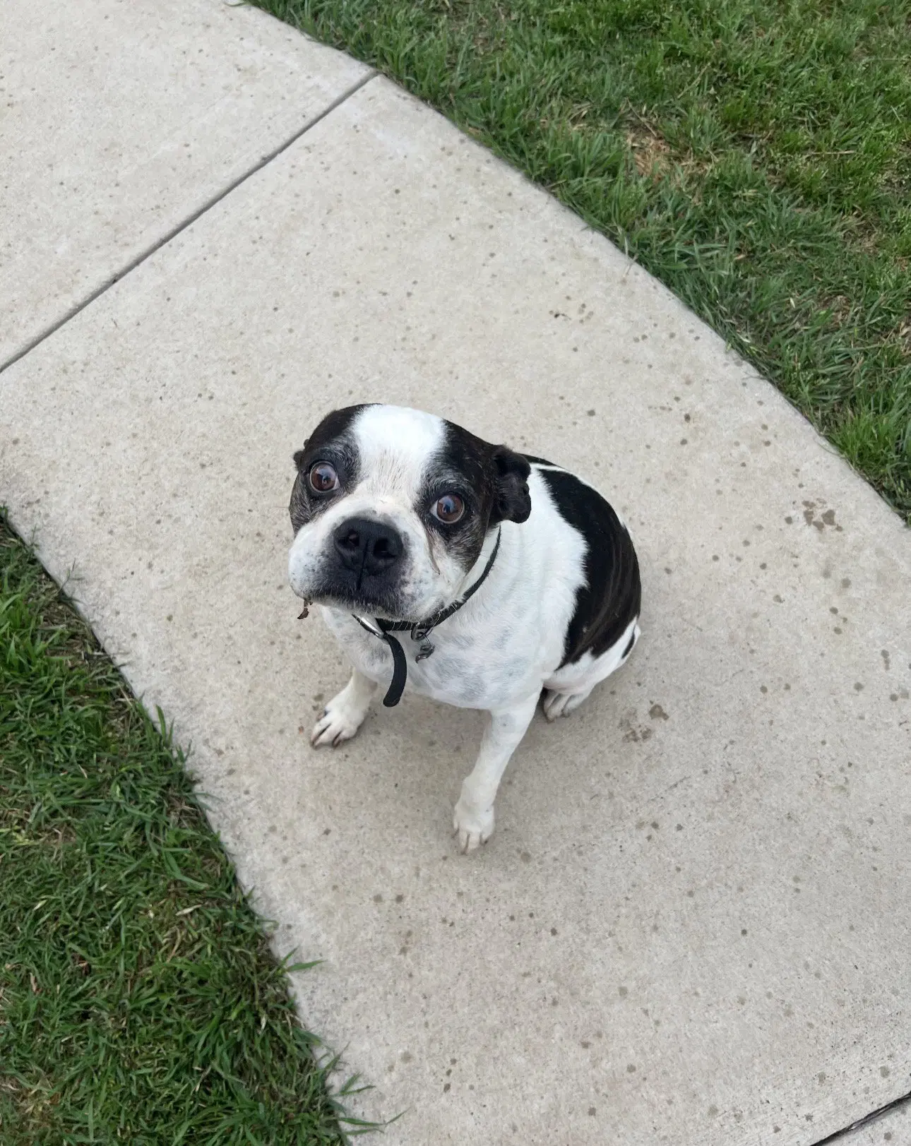 Bandit image 3