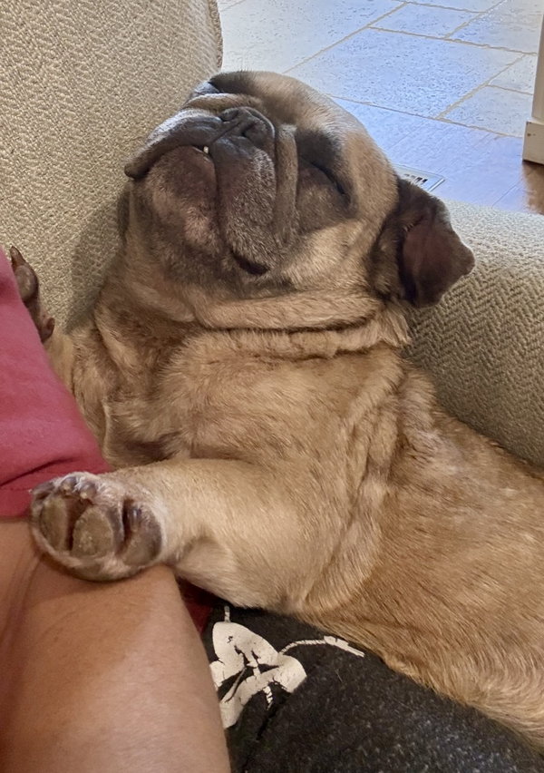 Frida